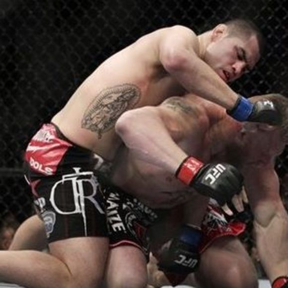 Meet your Posher, Calvin - Picture 1 of 1